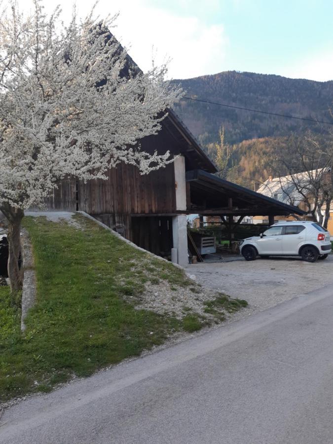 Alpska Roza Apartment Kranjska Gora Exterior photo