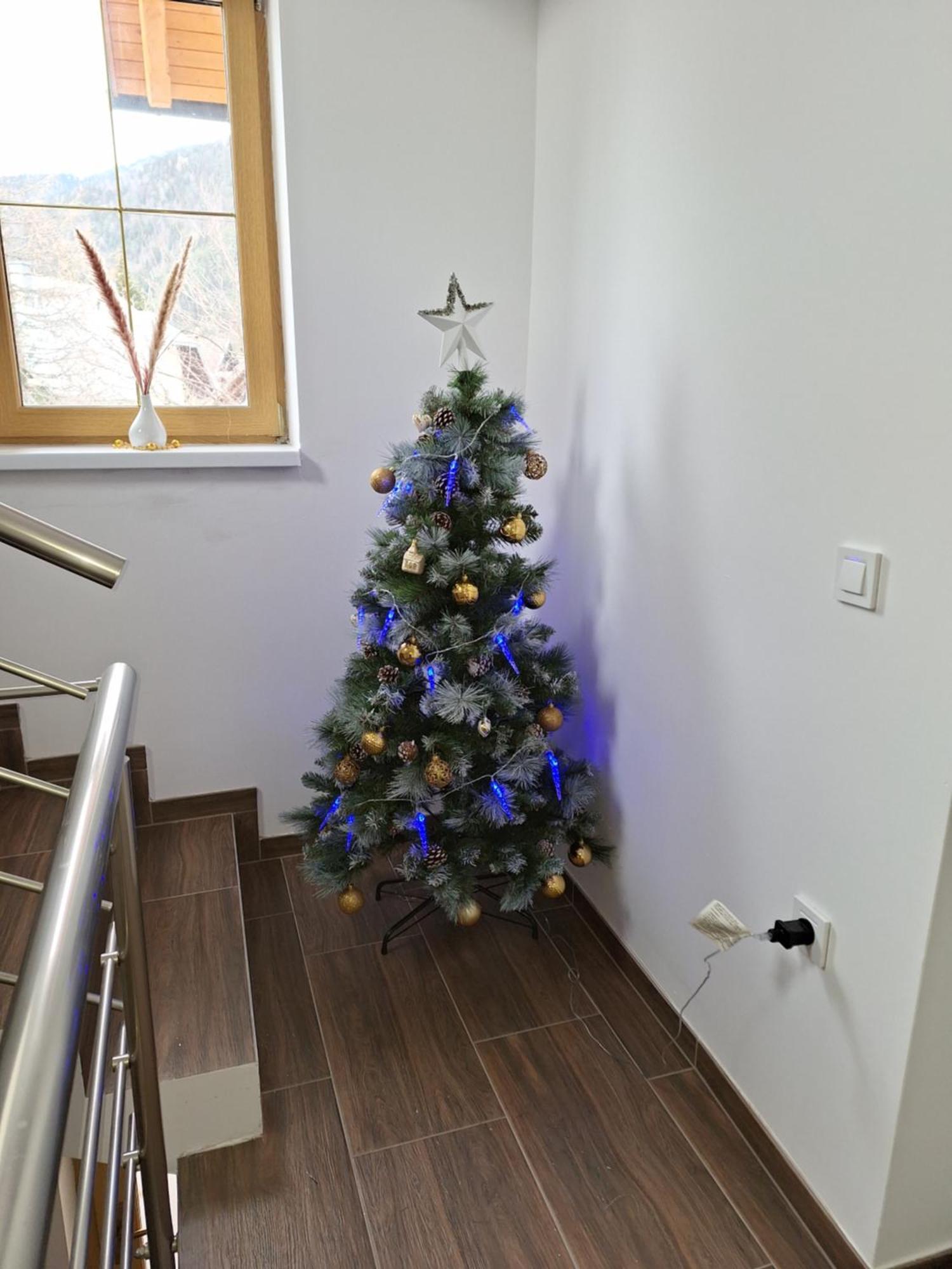 Alpska Roza Apartment Kranjska Gora Exterior photo
